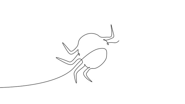 Single Continuous Line Spider Path Tracing Animation Minimal Arachnid Drawing 4K