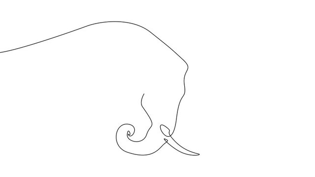Single Continuous Line Elephant Path Tracing Animation Minimal Wildlife Art 4K