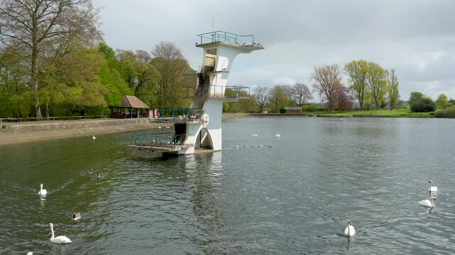 A cinematic view of the iconic Art Deco diving board at Coate Water Park. White swans and ducks swim in the foreground of this peaceful lake scene, ideal for travel and heritage content.