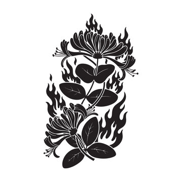 Black silhouette of honeysuckle flowers and leaves surrounded by stylized flames, isolated on a white background, botanical