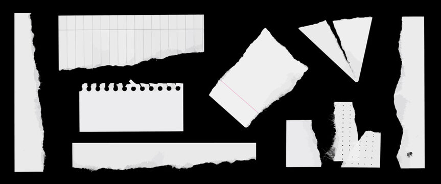 Shredded notebook paper scraps set with lined and plain textures including triangular pieces and long vertical strips.