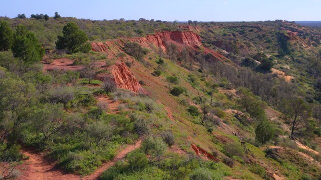 Murray River cliffs and clifftops reveal a rugged natural landscape, the unique Australian river environment. Red earth, bushland, and scattered trees define the terrain