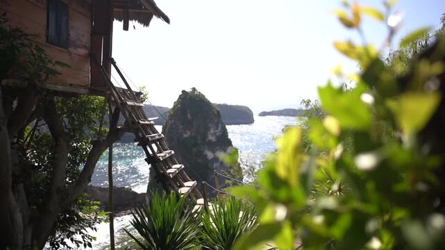 Tropical ocean view through foliage in Nusa Penida Indonesia