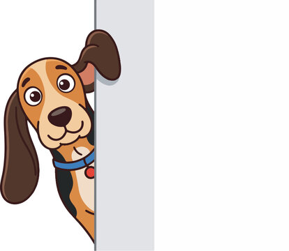 A funny basset hound cartoon peeks around a corner, a cute basset hound vector with a dog cartoon expression