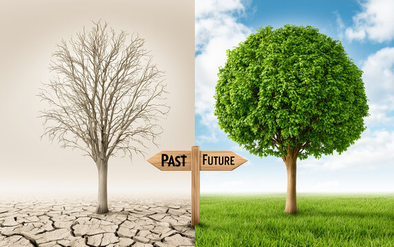 Symbolic landscape shows contrast between two worlds. Left side dry cracked earth, dead tree representing past. Right side green grass, tree representing future.