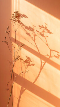 High commercial value for social media backgrounds and minimalist lifestyle branding due to its trendy aesthetic.