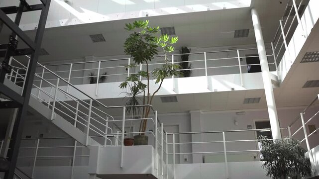 Sunlit modern office atrium with shifting light across railings, stairways, balconies, and tall plants in airy multi-level interior architecture beneath skylight