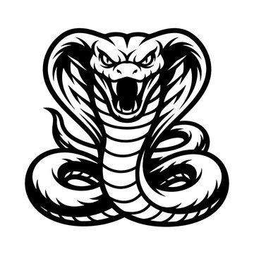 Bold king cobra snake mascot graphic design element.