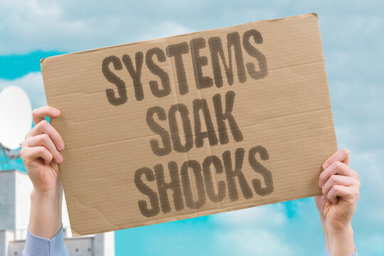 "Systems Soak Shocks" Adaptable structures absorb multiple overlapping crises. ADAPT. ABSORB. CRISIS. OVERLAP. RESILIENCE.
