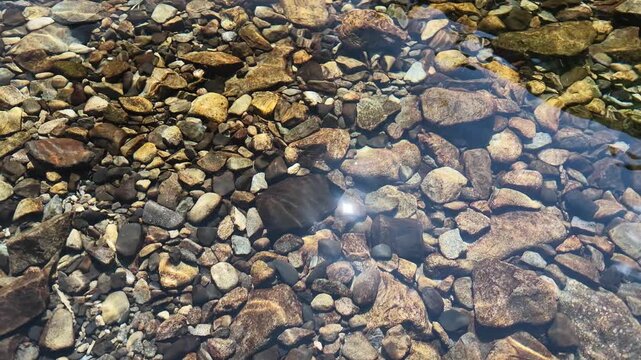 透明な川の水と川底の石に太陽光が反射するスローモーション