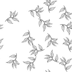 Obraz premium seamless pattern black tea leaf hand drawn vector. healthy drink, summer food, organic plant black tea leaf sketch illustration