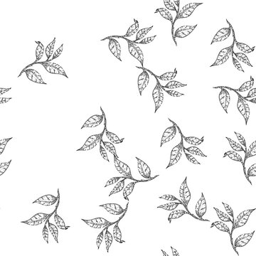 seamless pattern black tea leaf hand drawn vector. healthy drink, summer food, organic plant black tea leaf sketch illustration