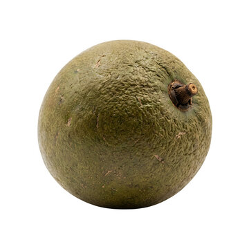 Bael fruit with textured green skin isolated on white background, wood apple or Aegle marmelos tropical fruit, exotic healthy organic stone apple