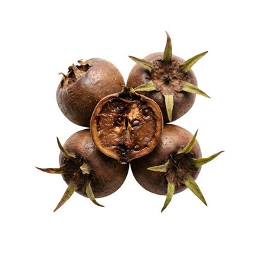 Ripe medlar fruit group on white background, organic brown mespilus germanica with cross section, healthy autumn harvest