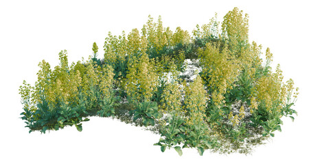 Obraz premium Brassica napus tree line, Forest Edge, Backdrop cutout, isolate transparent background, Dense green shrubbery with yellow flowers on a transparent background - nature element