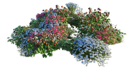 Obraz premium Flax and Fragaria tree line, Forest Edge, Backdrop cutout, isolate transparent background, Vibrant mixed flower bed with pink, blue, and red blossoms - perfect for garden design projects.