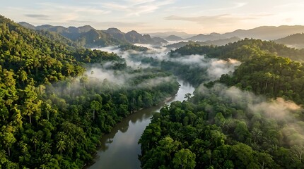 Obraz premium Rainforest mountains rise above a winding river valley shrouded in thick morning mist and clouds.
