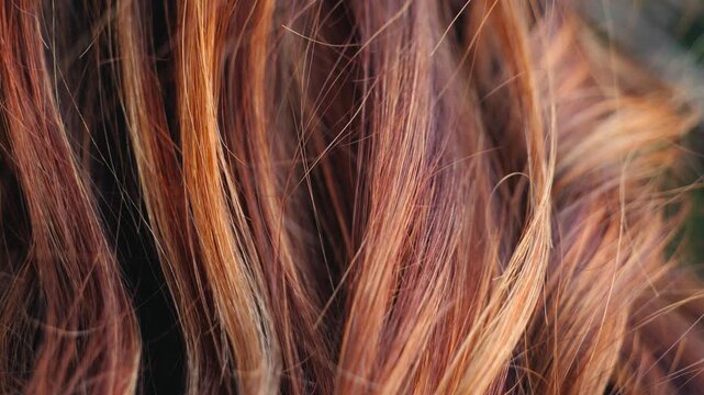 Close-up of long brown hair strands blowing gently in the wind, healthy natural texture. High quality 4k footage