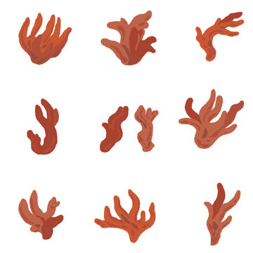 Poison Fire Coral Mushroom Variation Set Hand Drawn Vector Illustration