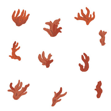 Random Layout Poison Fire Coral Mushrooms Hand Drawn Vector Illustration