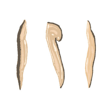 Thin Sliced Matsutake Mushrooms Hand Drawn Vector Illustration