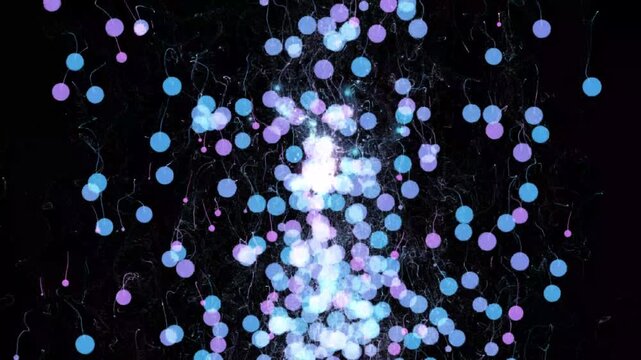 Abstract motion footage displaying floating blue and purple circles rising against a black background