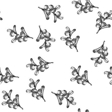 seamless pattern cranberry cowberry dessert hand drawn. red fruit, berry wild, lingonberry view, above redberry, overhead collection cranberry cowberry dessert black sketch illustration