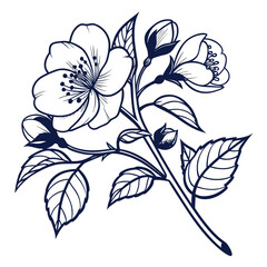 Fototapeta premium vintage camellia vector