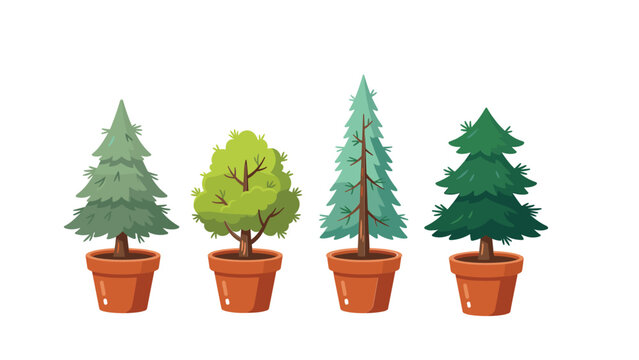 Potted green trees and pine conifers vector set for home garden nature outdoor decoration isolated on white background