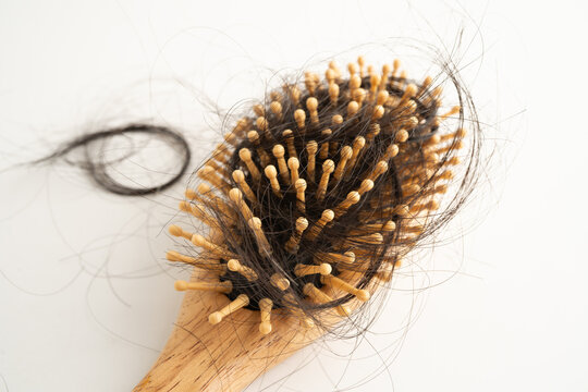 Hair loss fall with comb bush serious problem health, beauty and cosmetic.