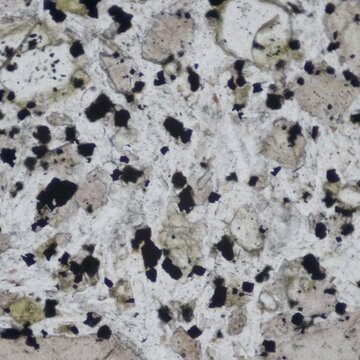 Basalte porphyrique