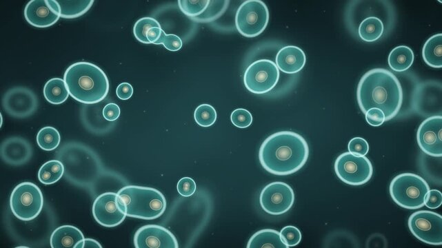 Cell Division Mitosis Microscope Biology Science Motion Background Seamless Loop in subtle teal tones