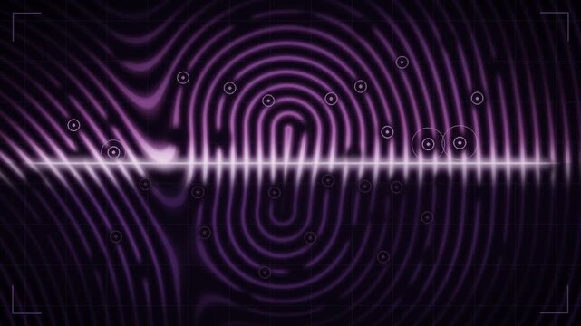 Biometric fingerprint scan with sweeping light line and recognition markers seamless loop in cool magenta tones
