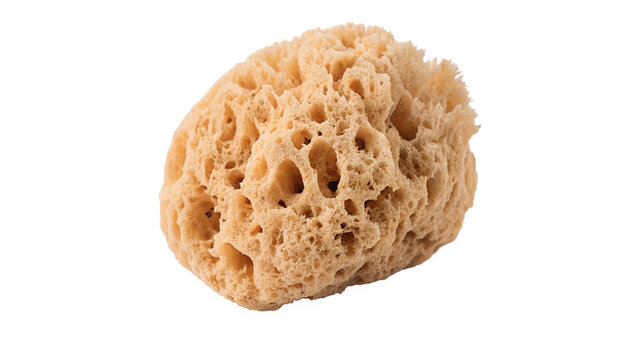Natural dry porous yellow marine sponge isolated on transparent background for beauty spa bathroom body scrubbing