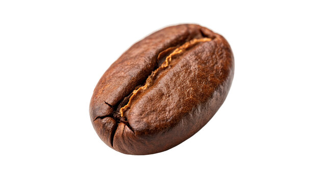 Single roasted aromatic brown coffee bean isolated on transparent background for morning breakfast cafe menu layouts