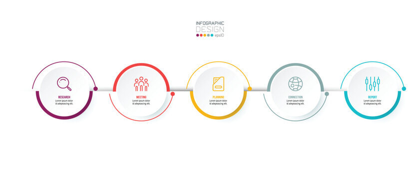 Timeline chart business infographic template.