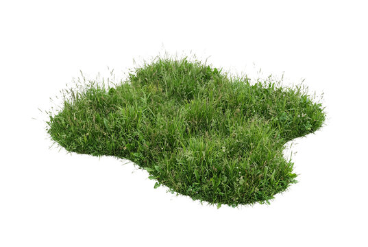 Lush green grass lawn patch isolated element, realistic field meadow turf cut out, architectural landscape ground cover plant, green garden grass mound, natural lawn texture cutout.