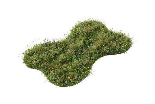 Natural wild lawn grass island patch featuring green turf, dandelions, clover flowers, and field weeds cutout for outdoor landscape architecture render.