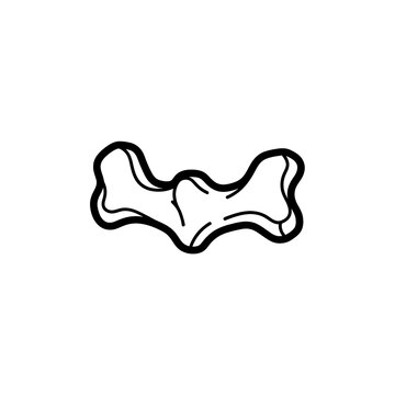 Simple line drawing of the human os coccygis tailbone bone