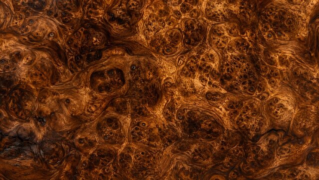 Close up of a natural dark brown wood burl texture with intricate swirling grain patterns and knots