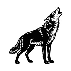 Obraz premium Howling wolf vector illustration. Black and white wild animal graphic in engraving style.