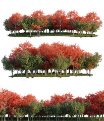 Autumn Trees with Colorful Leaves - A Vibrant Forest Scene for Fall Season Design