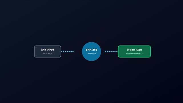 Sha-256 hashing algorithm process: data input to 256-bit hash conversion animation 4k cryptography blockchain