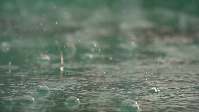 Close up of Raindrops Falling on a Puddle with Ripples and Bubbles