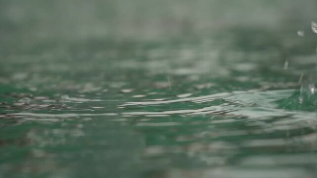 Close up of Raindrops Falling and Creating Ripples on a Green Water Surface