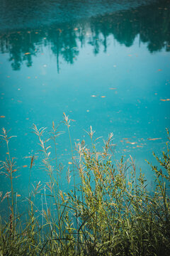 Shirogane Blue Pond (Aoiike) with turquoise mineral-rich water, standing dead trees, and forest reflections in Biei, Hokkaido, Japan. A famous scenic destination known for its tranquil natural beauty.