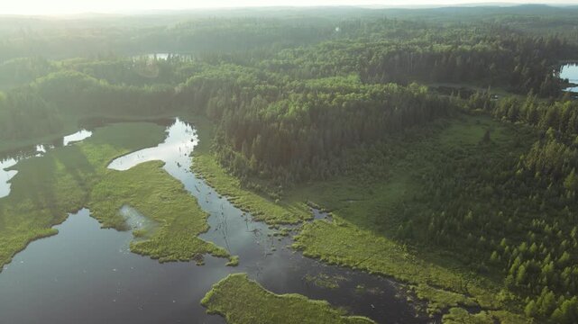 Aerial drone flying above a northern forest with small lakes with early morning mist hiding the trees in the distance
