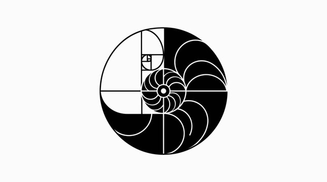 Abstract Fibonacci Spiral Nautilus Shell Graphic Design, Golden Ratio and Organic Growth Pattern