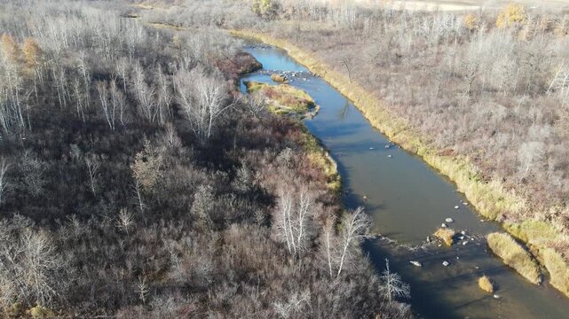 Drone aerial flying above a leafless autumn forest and a rocky river. /grass along the river is in brown fall shades
