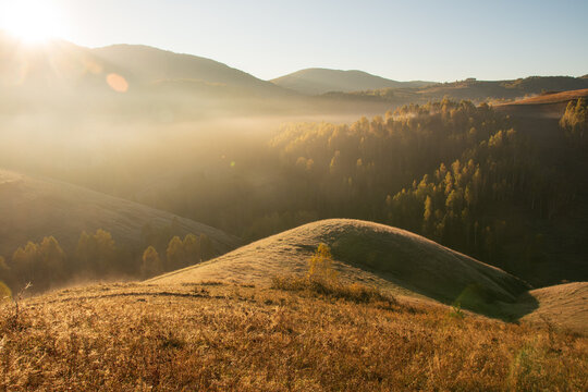 Golden morning sunlight illuminates fog drifting across rolling hills, forested valleys, and autumn grassland.
